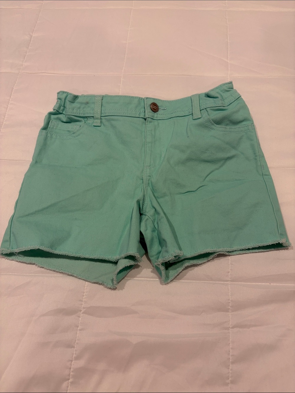 wonder nation Mint Green Casual Denim Shorts